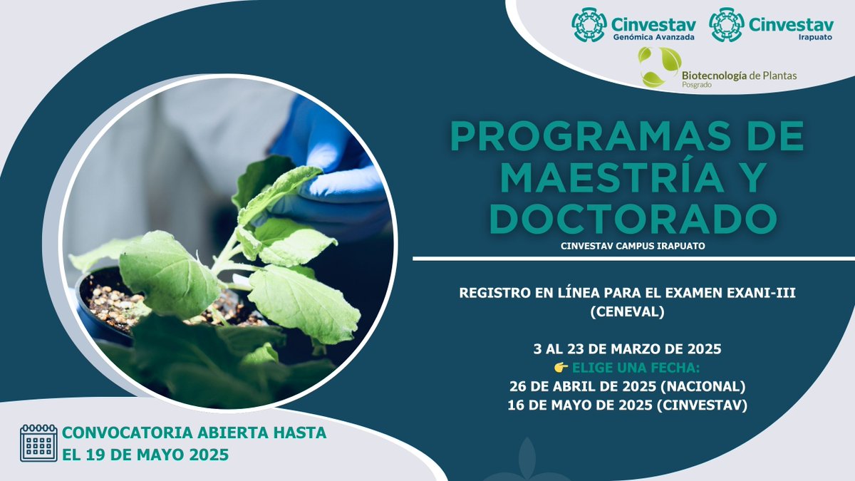 uga_langebio's tweet photo. 🟩 Convocatoria Posgrado en Biotecnología de Plantas
📌 Registro EXANI-III: 3-23 marzo
📌 Examen: 26 abril (Nacional) | 16 mayo (Cinvestav)
📌 Evaluación virtual: 6-10 junio
📌 Resultados: 30 junio
🔴 Fecha límite: 19 mayo 2025
⚠️ No habrá prórroga
🔗 https://t.co/jntzyE7TNu https://t.co/AZS1XeNvDQ