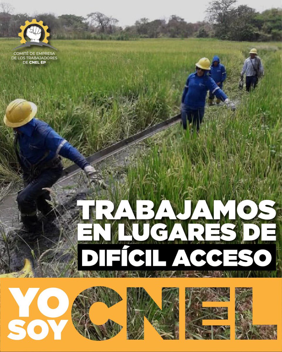 Comité CNEL EP tweet media