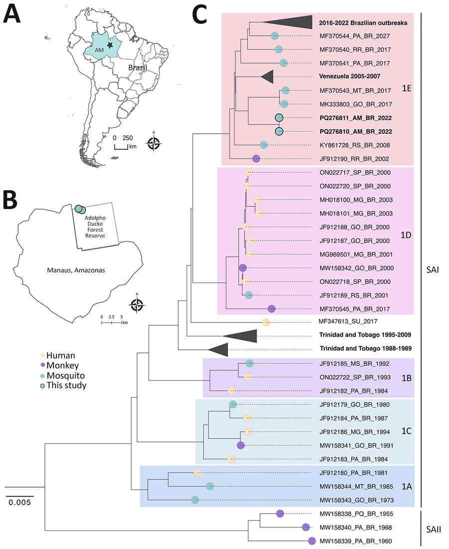 Lívia Sacchetto (@liviasacchetto) on Twitter photo Our work on sylvatic yellow fever at Amazon Forest wwwnc.cdc.gov/eid/article/31…
<a href="/EIDjournal/">EID journal</a> <a href="/ViibernardiC/">Victória Bernardi</a> <a href="/create_neo/">CREATE-NEO</a> <a href="/Virology_FAMERP/">Mauricio Nogueira’s lab @Famerp</a> <a href="/CREID_Network/">NIAID-CREID</a> <a href="/ACAV_ASTMH/">ACAV</a> <a href="/sbviro/">Sociedade Brasileira de Virologia</a> <a href="/Vasilakis_Lab/">Nikos Vasilakis</a> <a href="/famerp/">FAMERP</a> Our work on sylvatic yellow fever at Amazon Forest wwwnc.cdc.gov/eid/article/31…
<a href="/EIDjournal/">EID journal</a> <a href="/ViibernardiC/">Victória Bernardi</a> <a href="/create_neo/">CREATE-NEO</a> <a href="/Virology_FAMERP/">Mauricio Nogueira’s lab @Famerp</a> <a href="/CREID_Network/">NIAID-CREID</a> <a href="/ACAV_ASTMH/">ACAV</a> <a href="/sbviro/">Sociedade Brasileira de Virologia</a> <a href="/Vasilakis_Lab/">Nikos Vasilakis</a> <a href="/famerp/">FAMERP</a>
