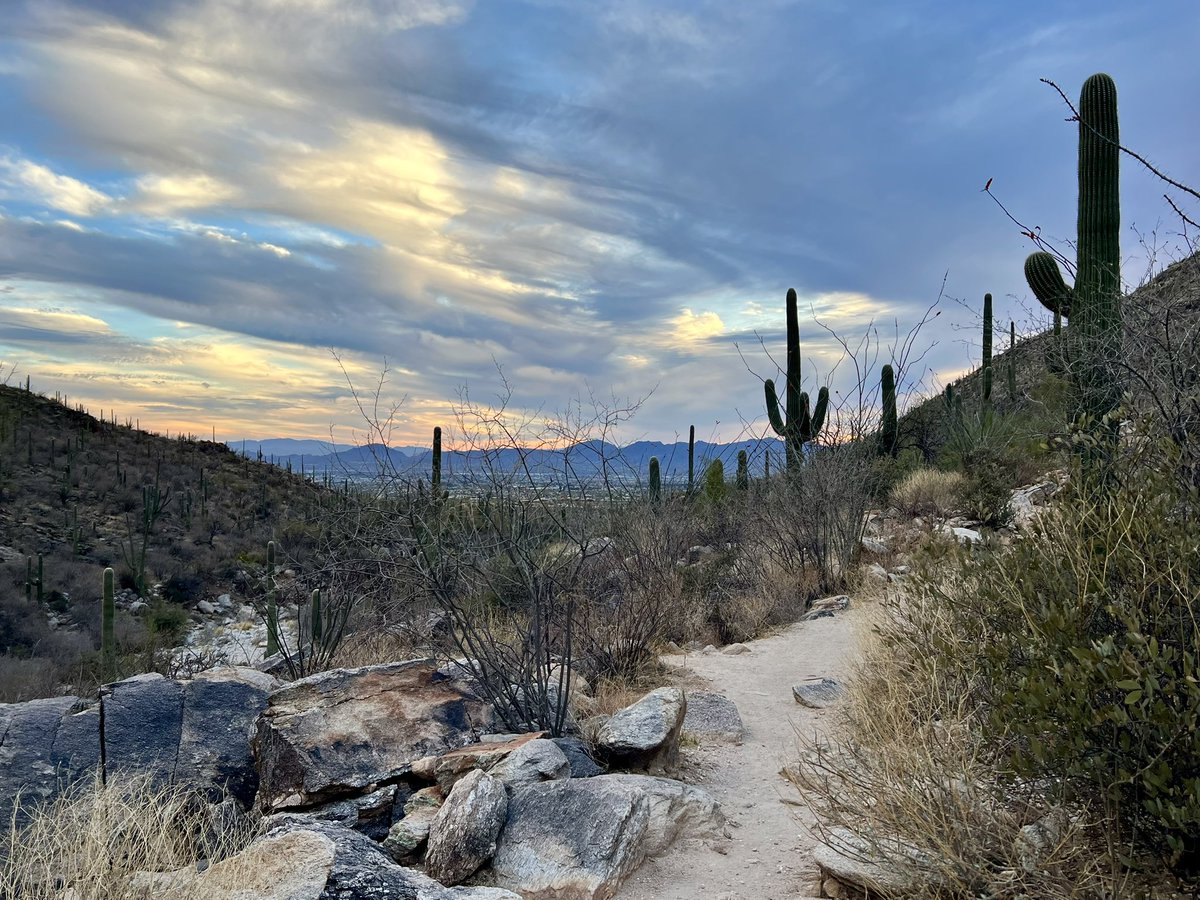 Lynne Peeples (@lynnepeeps) on Twitter photo Missing Tucson already! Thank you, Tucson Festival of Books, for a wonderfully nerdy weekend. Back in dreary Seattle, but still feeling energized by the doses of inner clock-calibrating sunshine and conversations with brilliant fellow writers! <a href="/riverheadbooks/">Riverhead Books</a> #circadianrhythm Missing Tucson already! Thank you, Tucson Festival of Books, for a wonderfully nerdy weekend. Back in dreary Seattle, but still feeling energized by the doses of inner clock-calibrating sunshine and conversations with brilliant fellow writers! <a href="/riverheadbooks/">Riverhead Books</a> #circadianrhythm