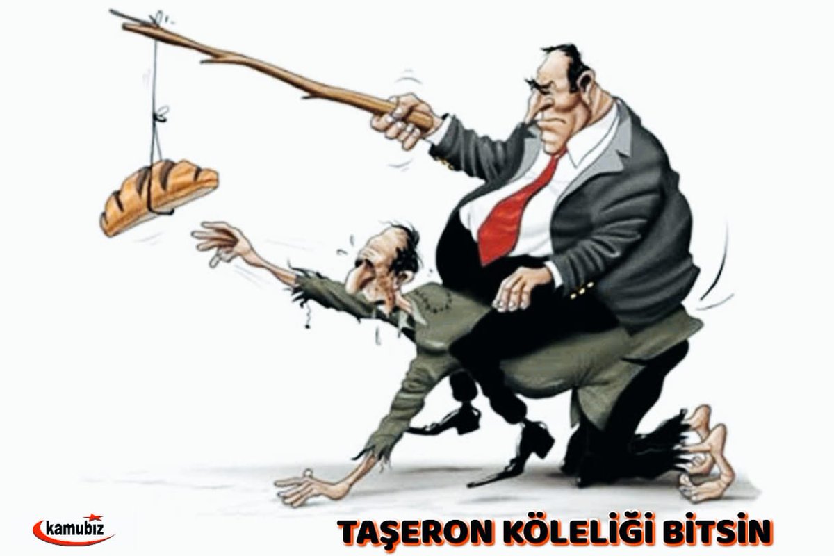 şaban çekil tweet media