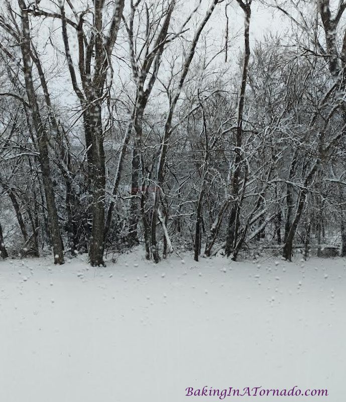 BakngInATornado's tweet image. Happy day before the first day of spring blizzard. Whipping winds, rain, sleet, snow, spotty electricity, spotty cable, spotty internet.
#mothernature #nomorewinter #EnoughIsEnough