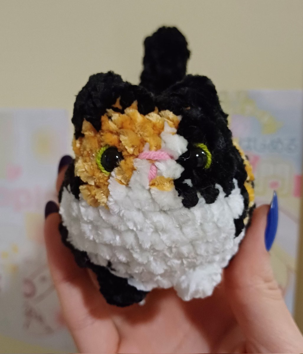 o que eu vi / o que eu fiz