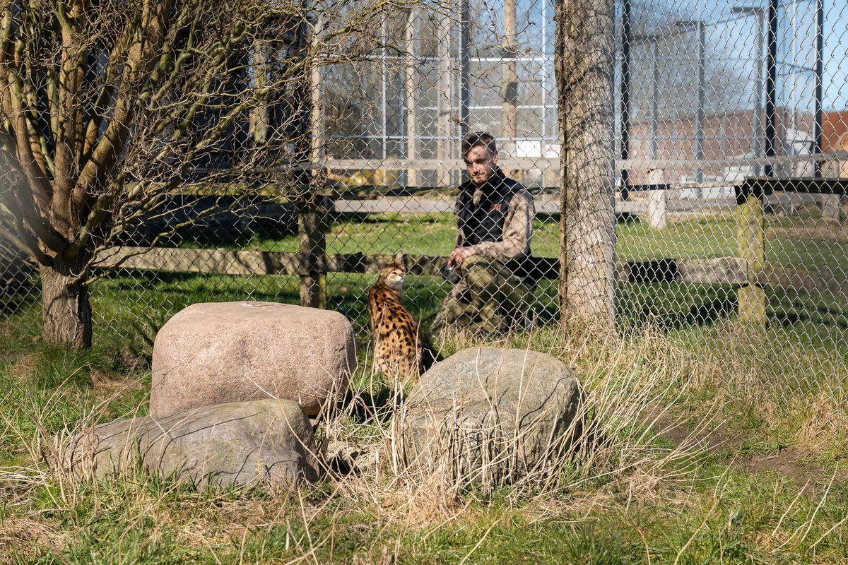 NikoRescueZoo - Charity tweet media