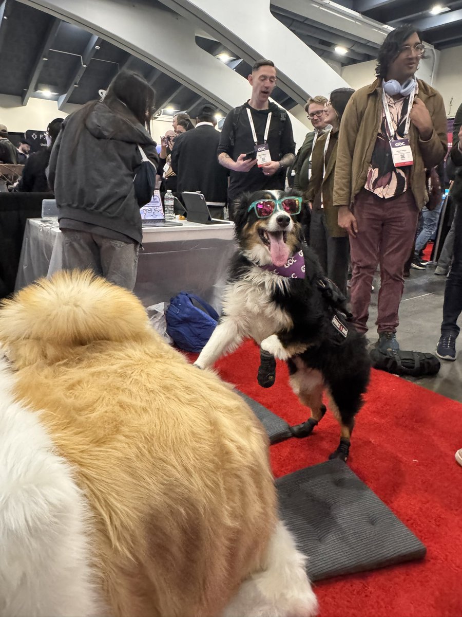 DaChu Interactive tweet media