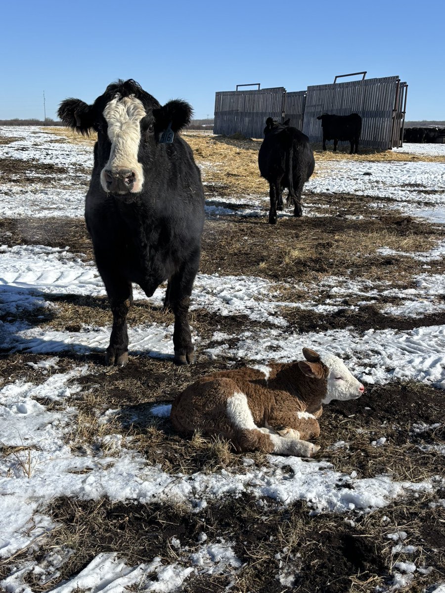 john larre tweet media