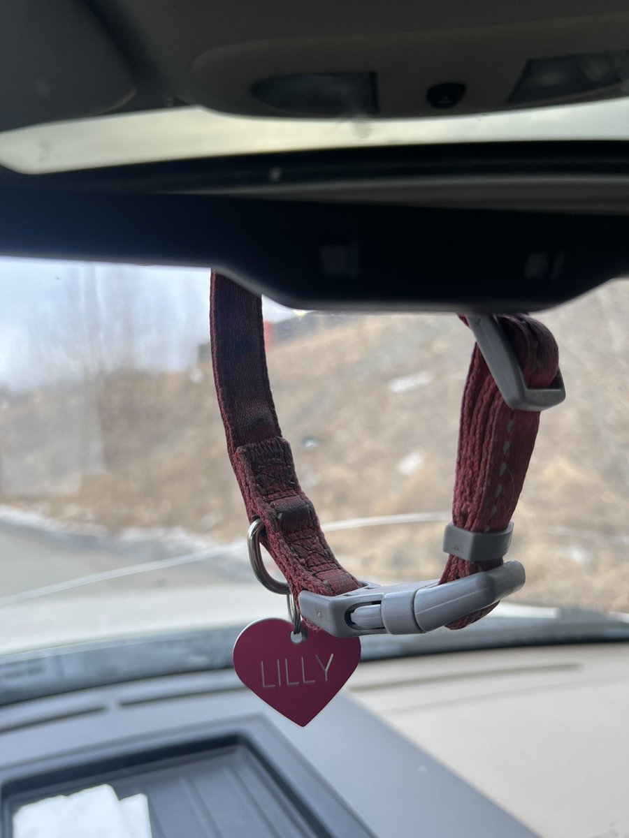 AK Beagle Ranch tweet media