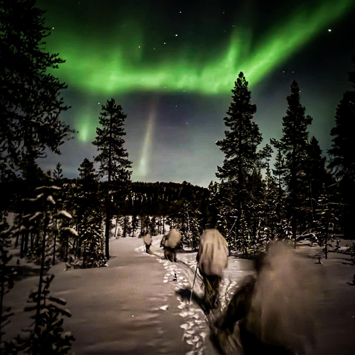 NATO Allied SOF Command (SOFCOM) tweet media