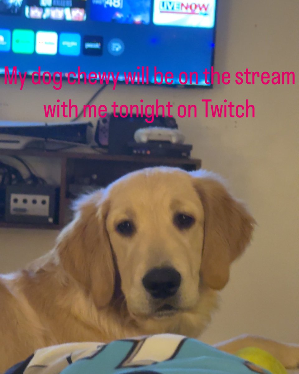 Gamerkitty720 tweet media