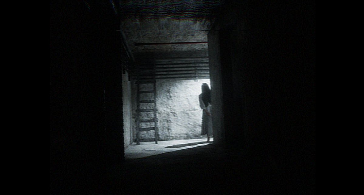 BIG update on The Woods 🌲 coming soon! 😋