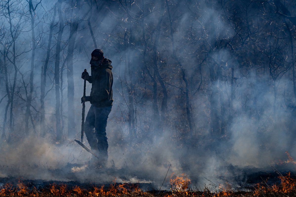 This was a fascinating read about restoring prairie lands through fire in the Ozarks. (But not today, of course. CRAZY wind out there.)
sgfcitizen.org/springfield-cu…