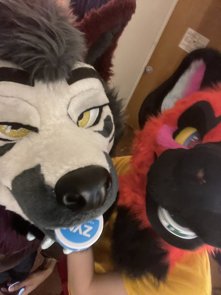 Slaphappy_23's tweet image. Critical zyn addiction