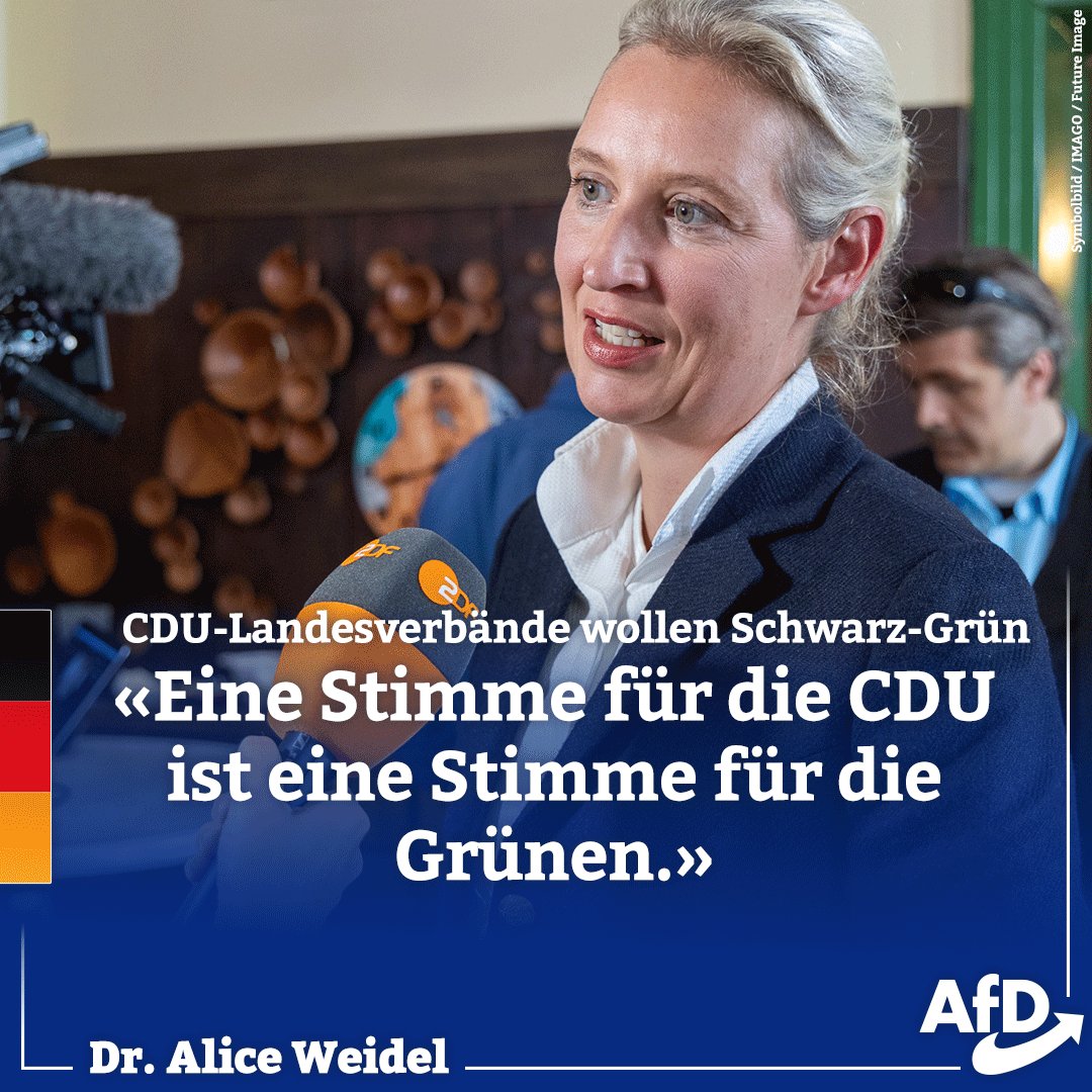 Freiheit4ev3r's tweet photo. Was die AfD vor der Wahl angekündigt hat, hat sich nach der Wahl Bestätigt. https://t.co/Us5yLivWfk