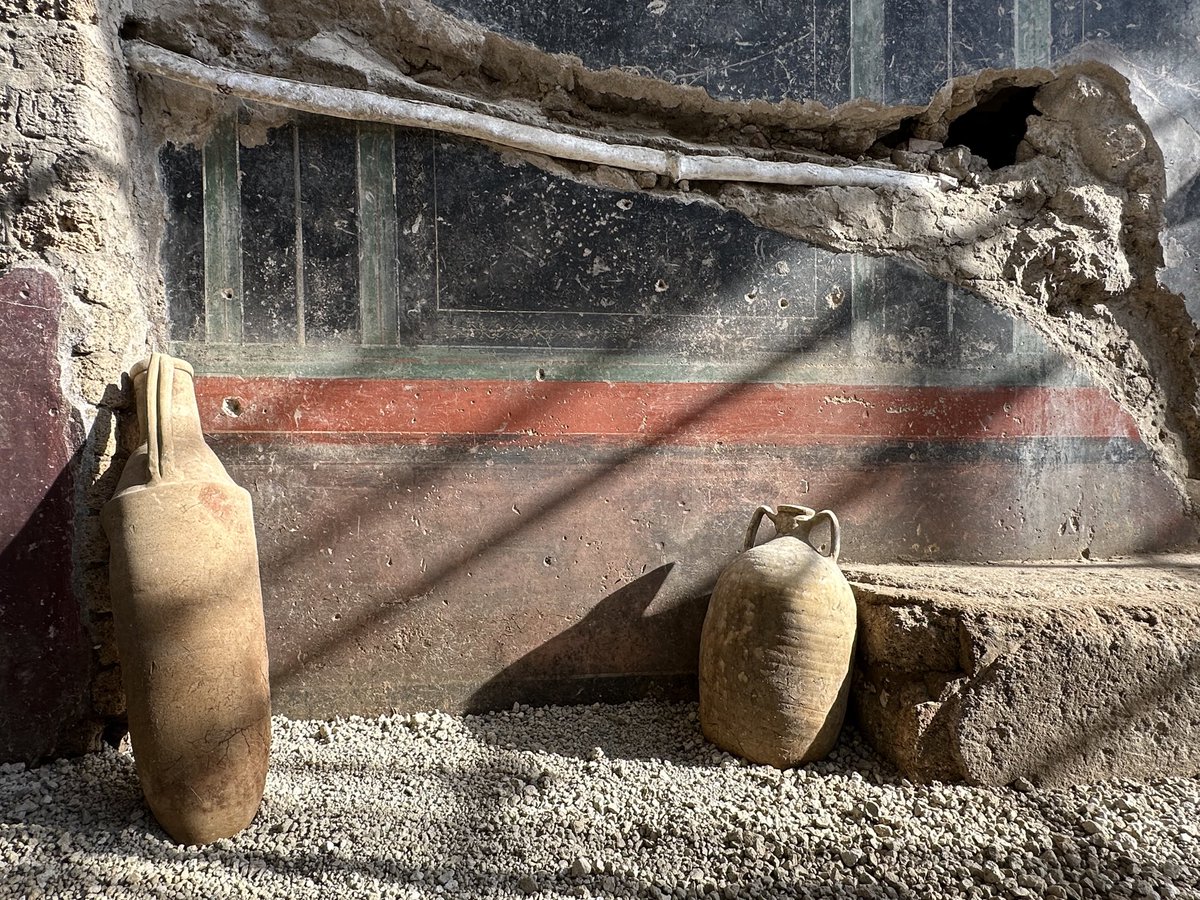 To all Americans, <a href="/PBS/">PBS</a> has just confirmed that the brand new episode of ‘Pompeii: The New Dig’ documentary that lovingly follows the current excavations of a large and sumptuous house in Region IX will air on Sunday 8th June 2025.