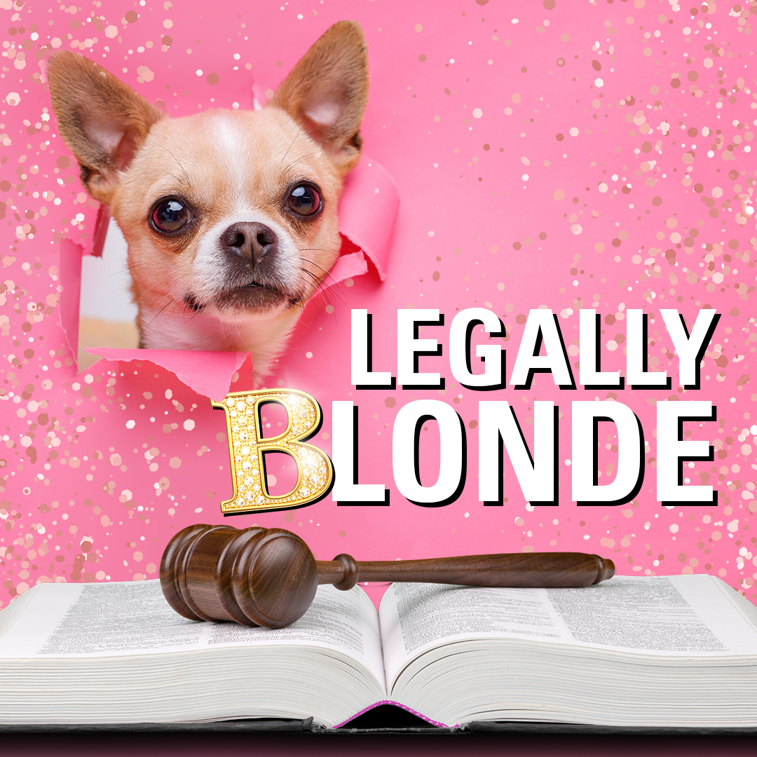 Bend and Snap!💅 Tickets to Legally Blonde Are Now On Sale!

Grab your group of friends and be first in line to see the summer musical!

🤎 Dates: Jul 5 - Aug 3, 2025
💁‍♀️Tickets: citadeltheatre.com/shows/legally-…

In Partnership with <a href="/TheatreCalgary/">Theatre Calgary</a>