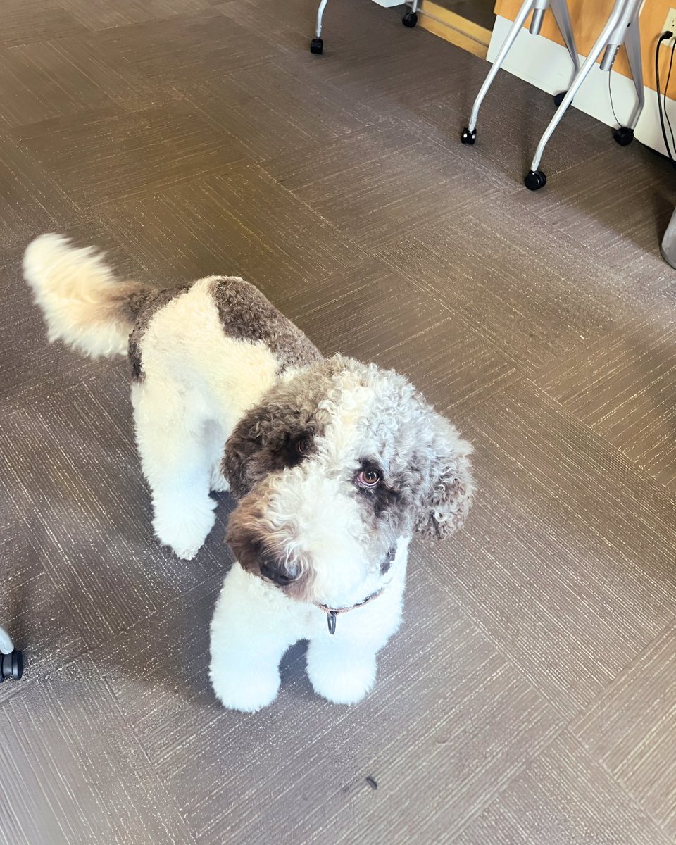 Summit_Flooring's tweet image. We were thrilled to be able to present our sustainable products to @SB_Architects. 🤝
⁠
Searching for unique, sustainable, and luxurious interior solutions for your firm? Contact us!

🔗 l8r.it/CSda

#interiordesignfirm #interiordesignstudio #architecturaldesign