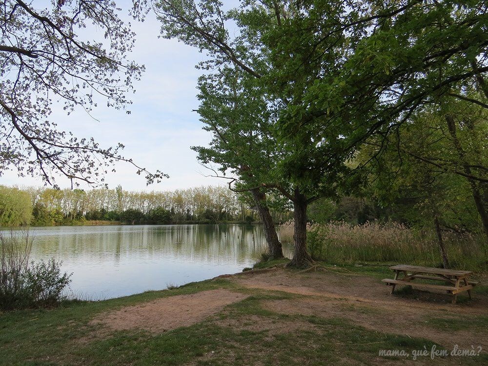 mamaquefemdema's tweet image. Tres excursiones fáciles en la comarca del Berguedà_
🔸La Nou del Berguedà: f.mtr.cool/uqoqkeqmjz
🔸El Balcó de Catalunya: f.mtr.cool/ukicxnmzhr
🔸Llac de Grauges: f.mtr.cool/bdgikqzwrb
#bergueda #barcelona #rutasfaciles #excursionesconniños #avia #berga #lanou