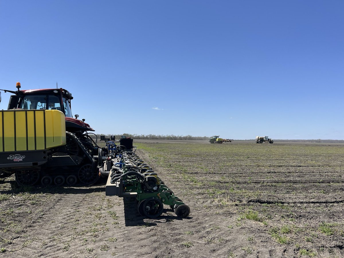 Ale Frick tweet media