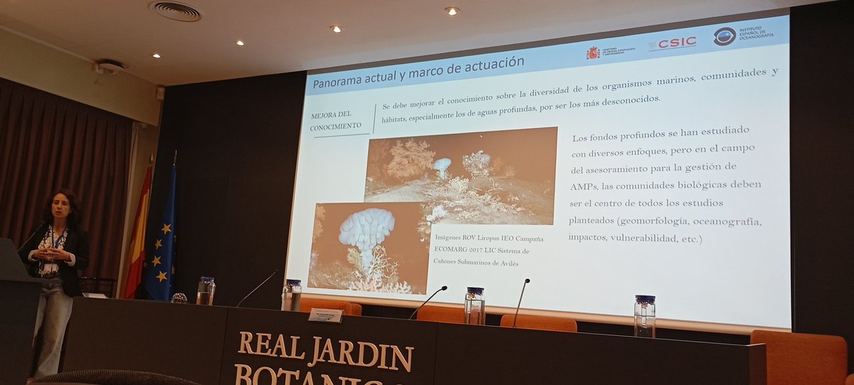 Olga Sánchez Guillamón tweet media