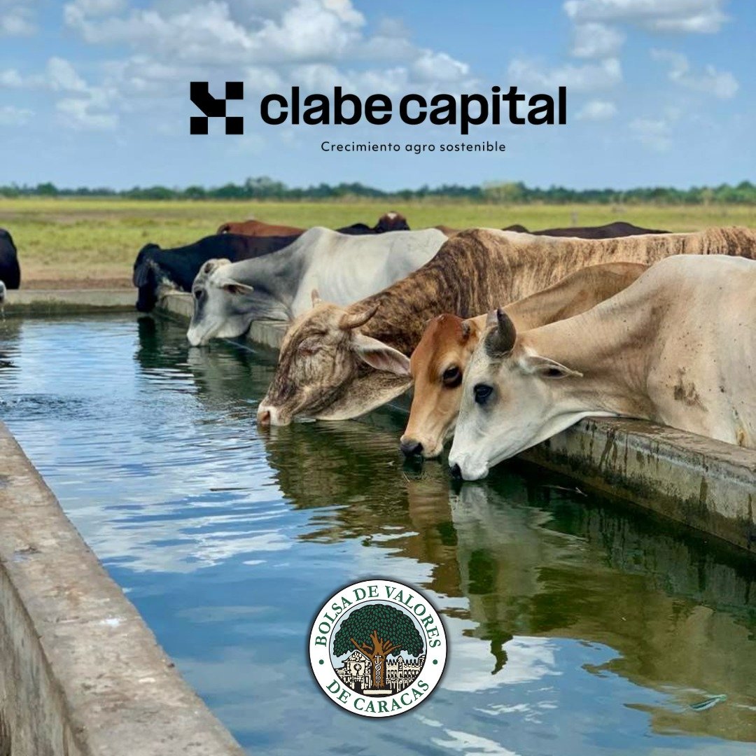 Muy contento de compartir con ustedes que el día de ayer presentamos oficialmente a @ClabeCapital en la @BolsaCaracas, un momento que marca un hito tanto para nuestro proyecto como para el mercado de valores venezolano, al ser uno de los primeros fondos especializados en el
