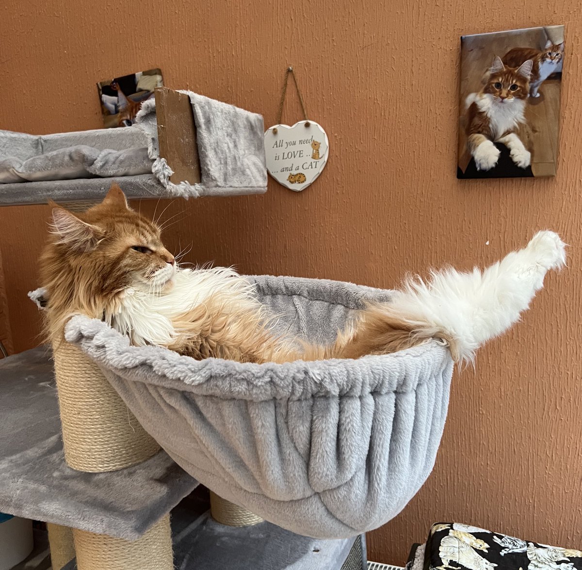 Current mood