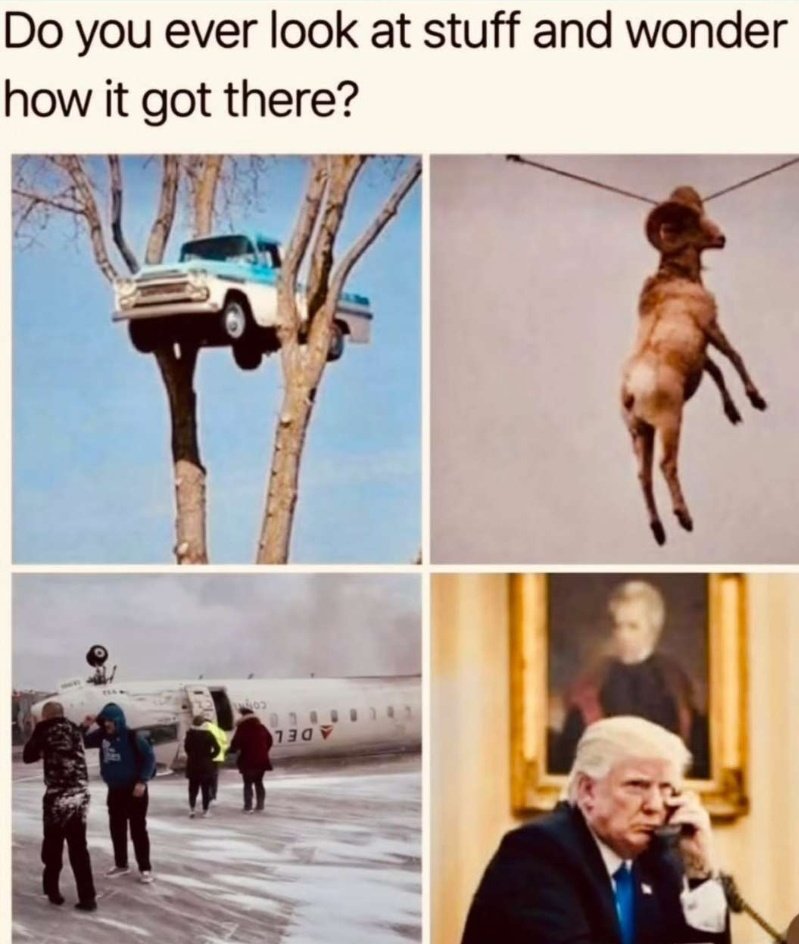 Metal Hedge Fella tweet media