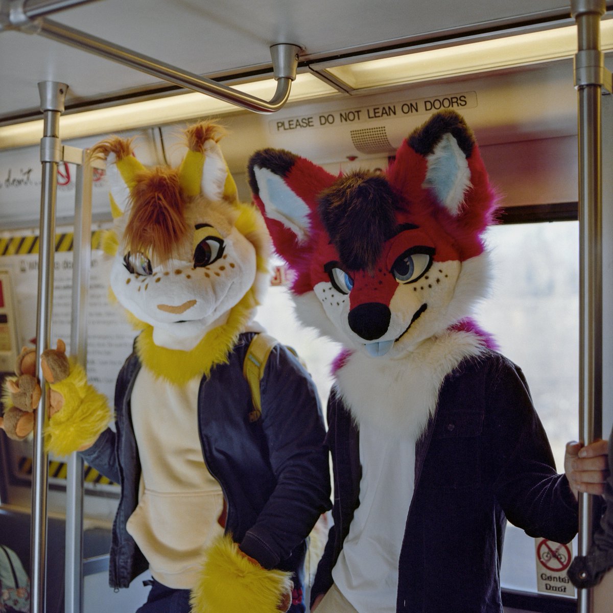 Slowly getting around to editing some of my furride photos

📷: Bronica SQ-A
🎞️: Portra 160