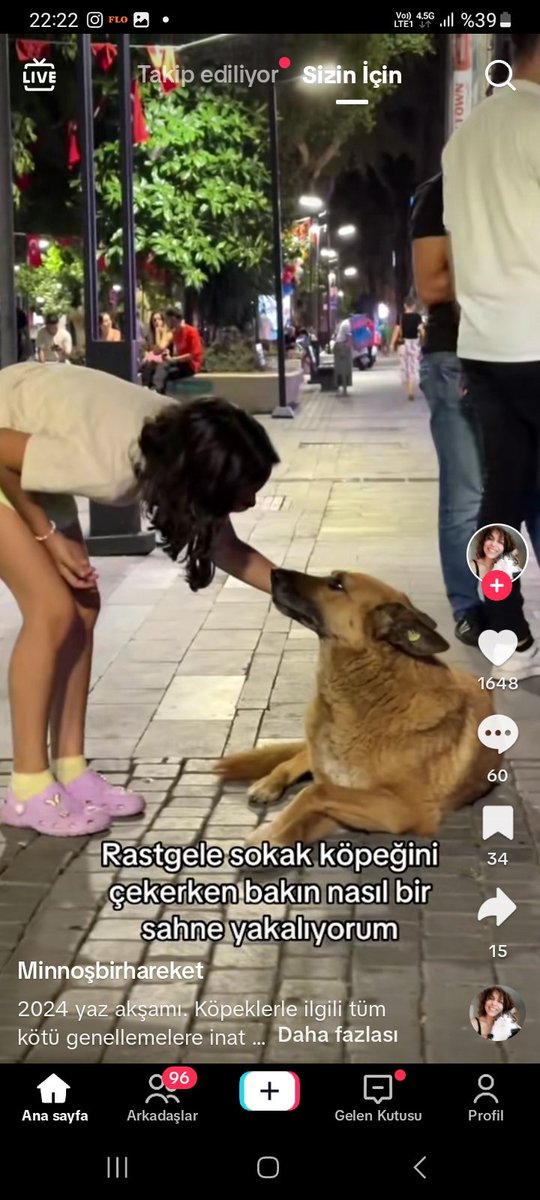 evren_civan's tweet photo. Sokak köpekleri çocukları yiyor diyip ülkeyi karıştıran vatan hainlerine gelsin. https://t.co/B0qjh4TMIU