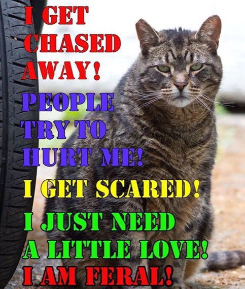 TWOHANDEDSOWRD's tweet image. 