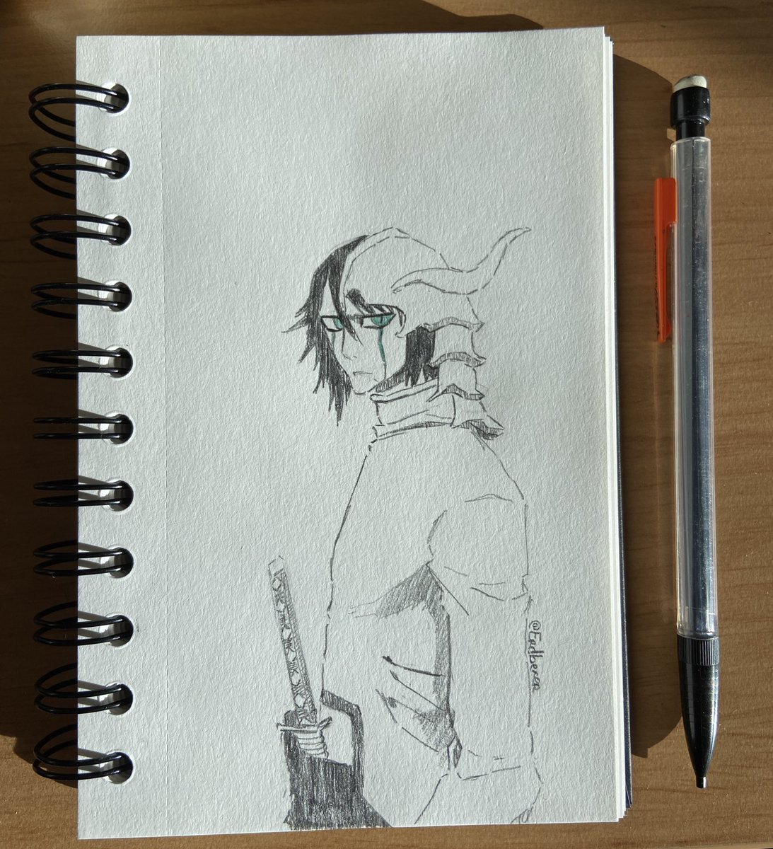 Ulquiorra Cifer 🦇

Premier dessin du voyage fait dans l’avion

#BLEACH