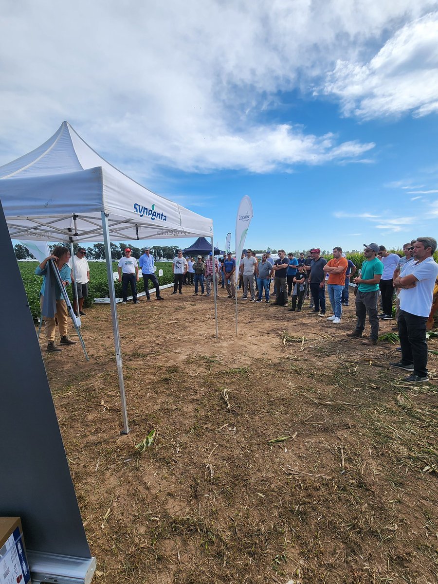 jennifer beltrami tweet media