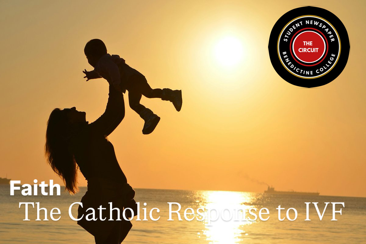 Faith| The Catholic response to IVF.

Read the Article:
bccircuit.com/19456/faith/th…

Staff Writer: Catherine Halbmaier.
Photo by: Pixabay.