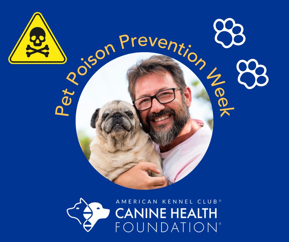 It's Pet Poison Prevention Week! Learn how to avoid the most common pet poisons and who to call in case of potential poison ingestion from the Pet Poison Helpline at petpoisonhelpline.com. 
#petpoisonpreventionweek #petpoisonprevention #petsafety