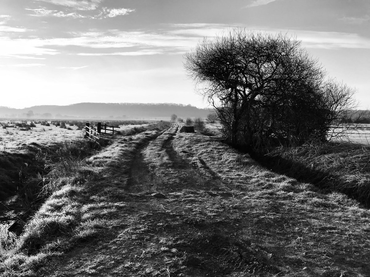 This morning on the Somerset Levels