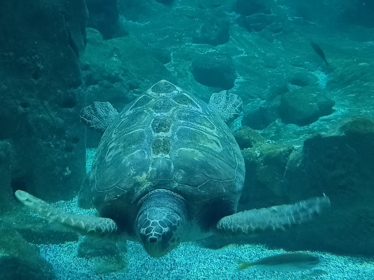 Η γλυκούλα πήρε και πόζα, για να την βγάλω φωτογραφία 😍