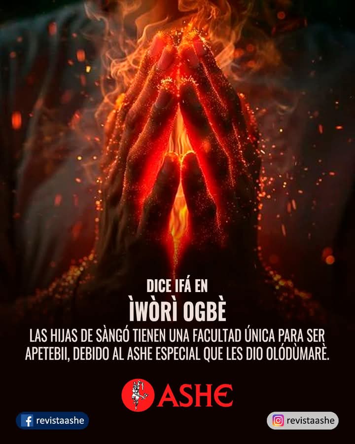 Revista Ashé tweet media