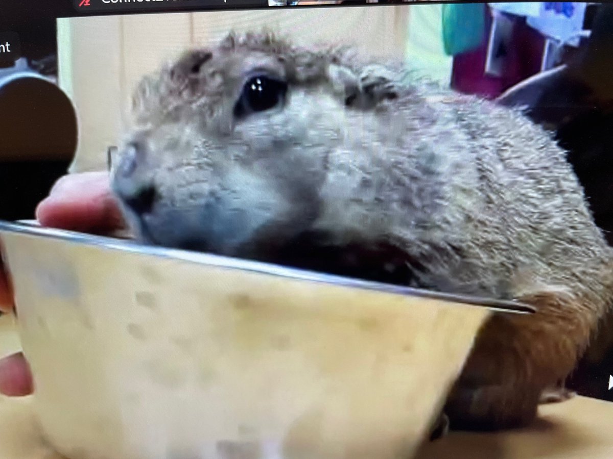 Connect2Texas tweet media