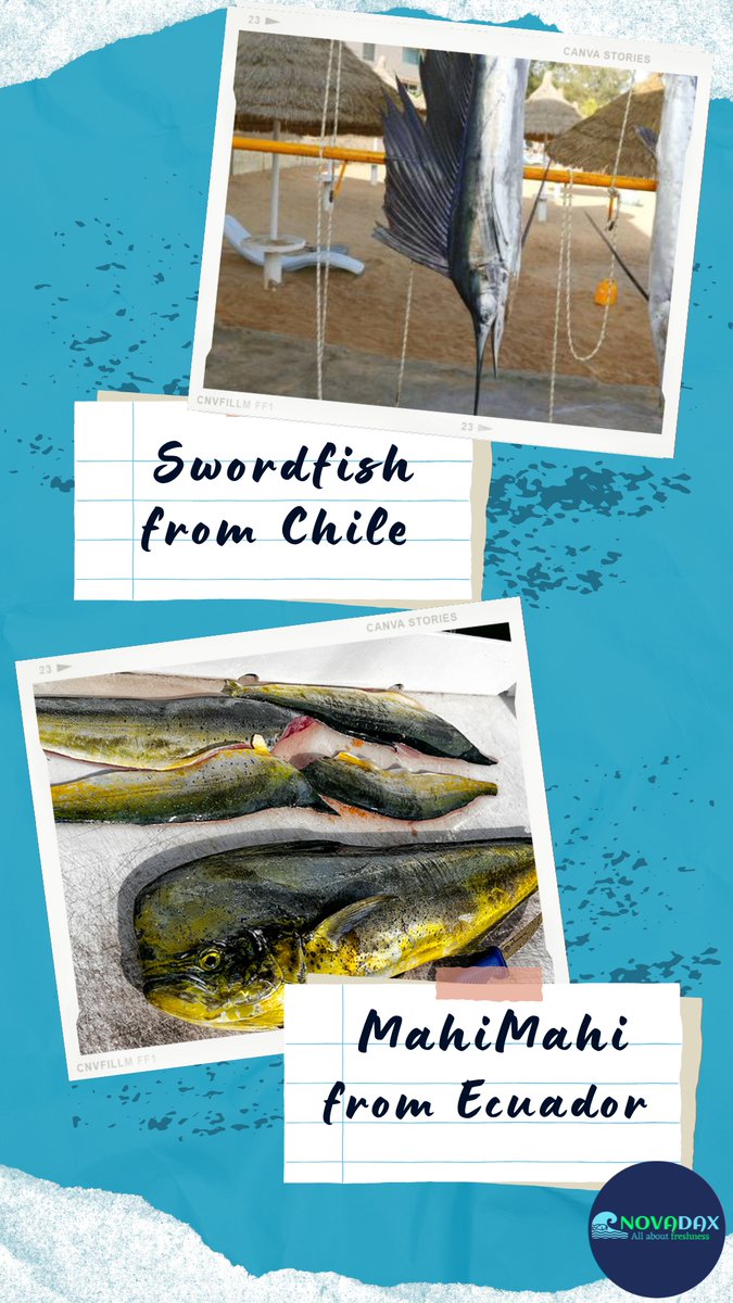 NovadaxSeafood's tweet photo. We are offering >> #seafood #swordfish #yellowtailsnapper #haddock #mahimahi #blackmarlin #cod https://t.co/ASI47lr3Pb