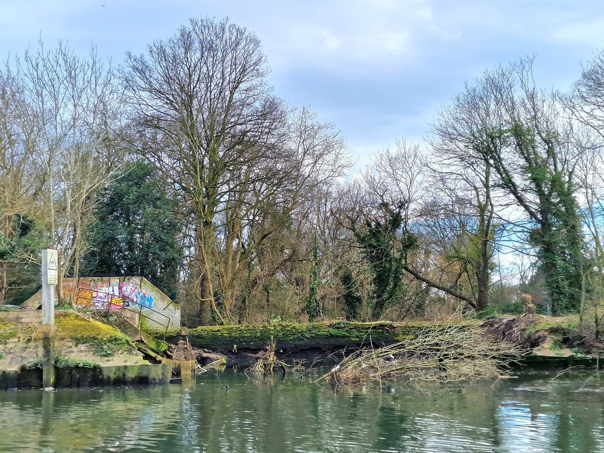 KaptainKwack's tweet image. Here's a view of the collapsed section of the #Thamespath between #Kew and #Richmond from the river. 

@ThamesPathNT #thames