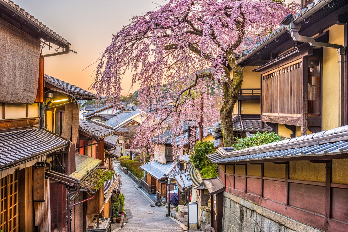 intinsurance's tweet image. 🌸 Cherry Blossom season has begun! 🇯🇵✨ Are you ready to experience Japan in full bloom? 🌿🌸