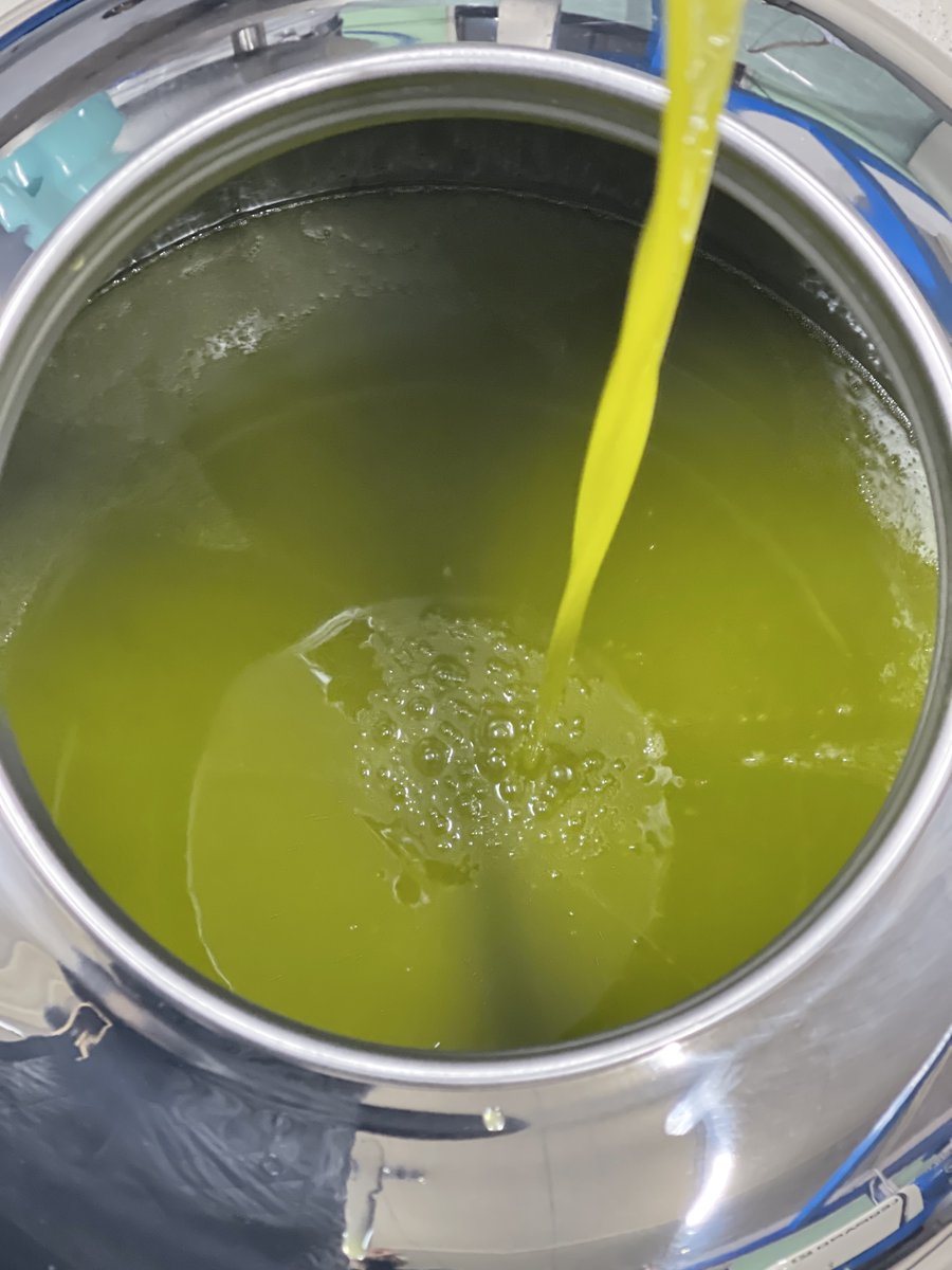 Golden Goodness: Freshly Made Olive Oil! 🫒✨ Watch as this rich, pure olive oil flows straight from the press into the container.🍽️

#FreshOliveOil #LiquidGold #HealthyFats #FarmToTable #ExtraVirginOliveOil #MediterraneanDiet #PureGoodness #OliveHarvest #Foodie #NaturalLiving