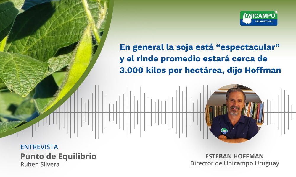 Este año el estado de los cultivos de soja es “espectacular” en general, salvo alguna zona puntual al sur de Chapicuy en Paysandú..., destacó el director de Unicampo, E. Hoffman, en el programa Punto de Equilibrio en Carve. 

🔊ESCUCHÁ LA NOTA 👇👇 
buff.ly/2N3biff