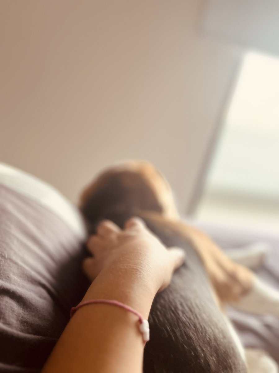ValenGVe's tweet photo. Hace más de un mes que mi gordito bonito falleció. Que me quedé con las ganas de seguir viviendo mi vida junto a él. https://t.co/dAraglsi5K