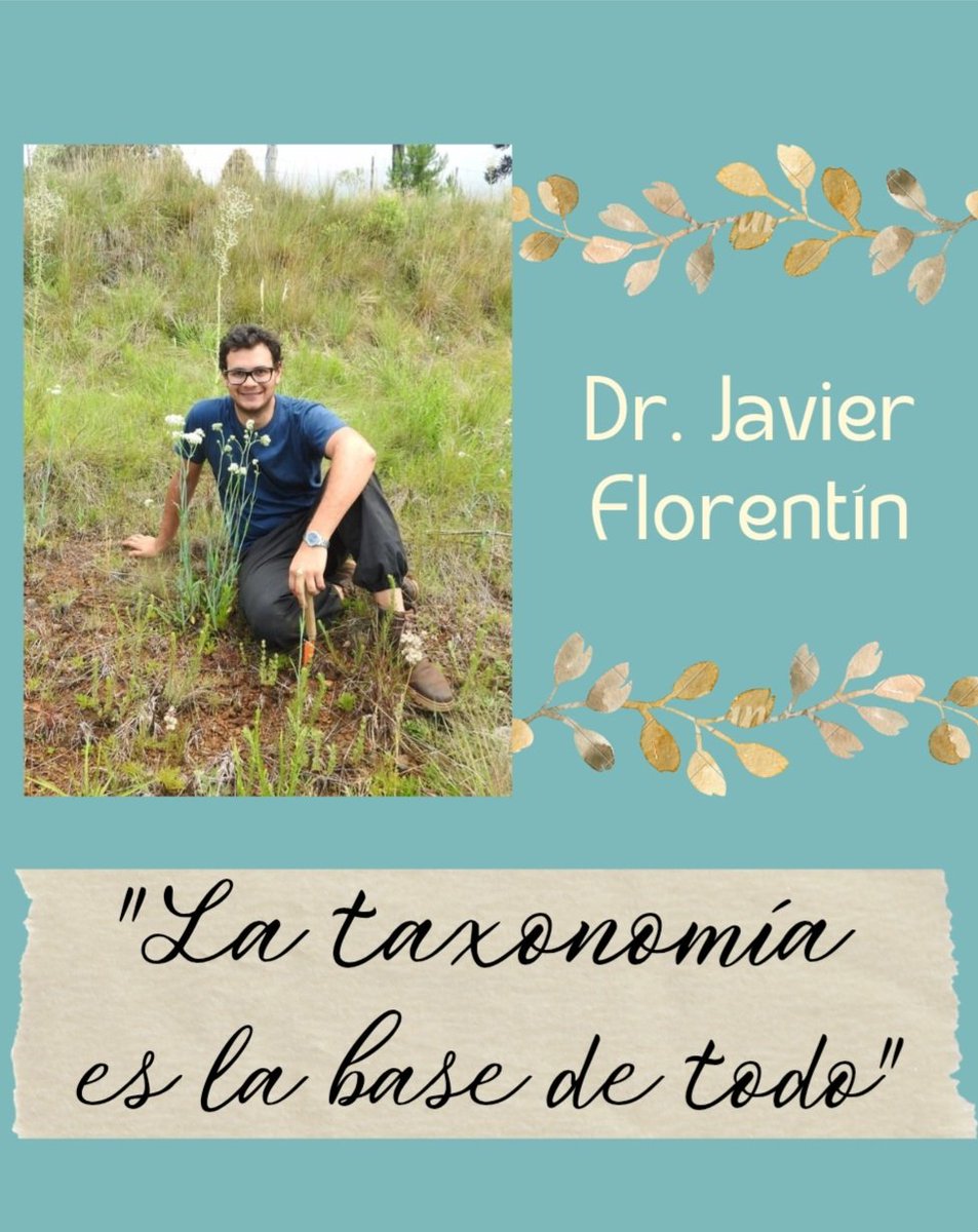 herbario_CTES's tweet photo. En ocasión de la fecha nos preguntamos: ¿Por qué es importante la taxonomía? Y el Dr. Florentín nos respondió: "Si queremos entender la biodiversidad, primero necesitamos saber qué especies existen, cómo se llaman y cómo se relacionan entre sí. Eso es lo que hace la taxonomía". https://t.co/p1PZQAsFeY