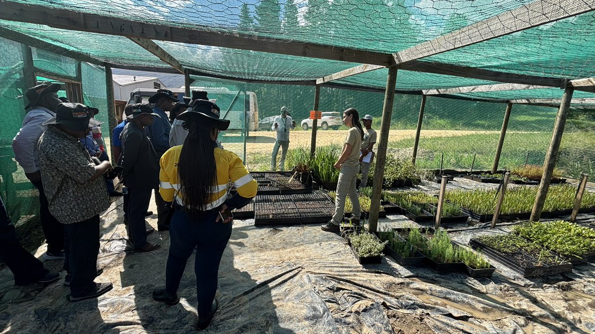 ilo_pretoria's tweet photo. In partnership with @DepartmentPWI hosting Hon.Minister Simbachawene and his delegation  @TasafTanzania 
We visited another EPWP site  today at
Grootvadersbosch Nature Reserve

💡This programme provides skills training, and  jobs that help uplift the community. @GamaSibanda https://t.co/Etj4hS0A4I
