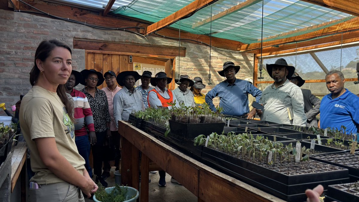 ilo_pretoria's tweet photo. In partnership with @DepartmentPWI hosting Hon.Minister Simbachawene and his delegation  @TasafTanzania 
We visited another EPWP site  today at
Grootvadersbosch Nature Reserve

💡This programme provides skills training, and  jobs that help uplift the community. @GamaSibanda https://t.co/Etj4hS0A4I