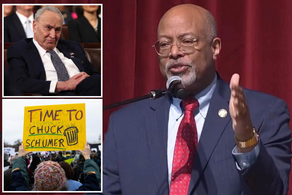 nypost's tweet image. Maryland congressman urges Senate Dems to ‘pick new leadership’ after Schumer’s shutdown vote U-turn trib.al/wqOLQOi