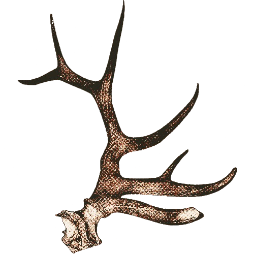 ‍ ‍‍ ‍* ‍‍𝖉𝔯 ‍ ‍┈ ‍ ‍ re͟i͟d ‍ ‍ ‍ ‍ tweet media