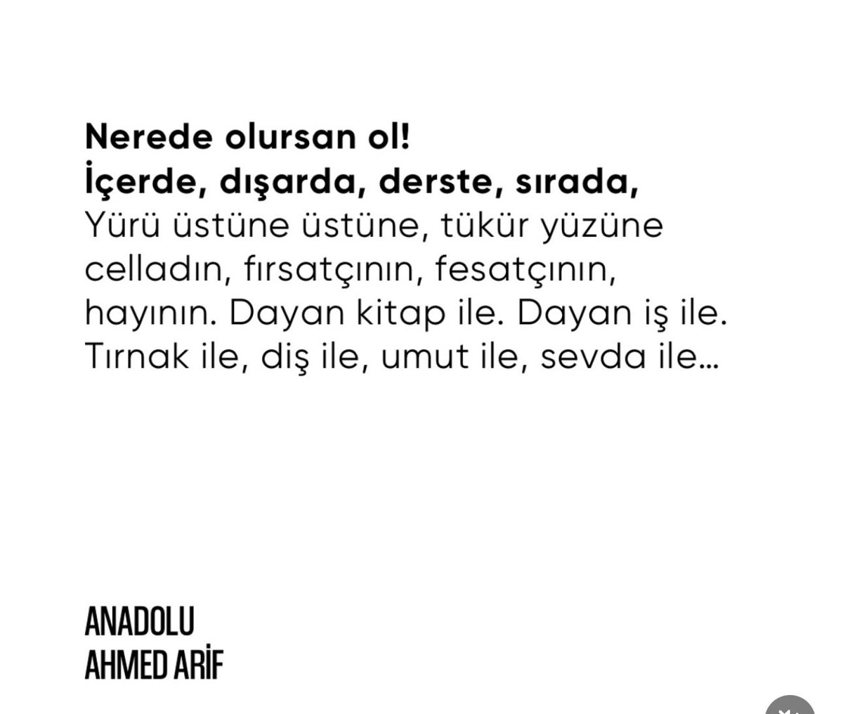 başak daşman tweet media
