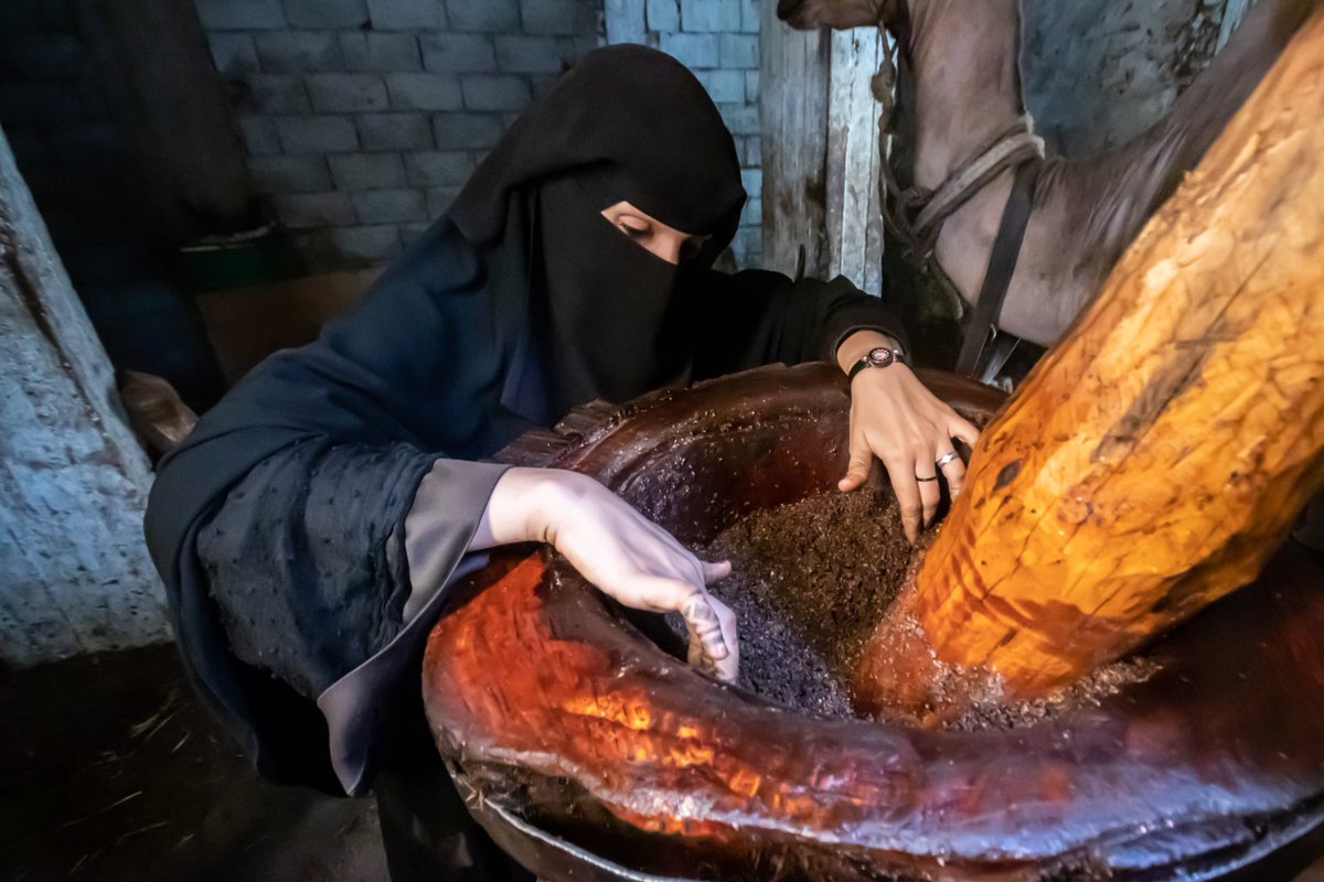 UNDP Yemen tweet media